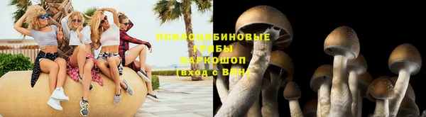 соль курить ск Бородино