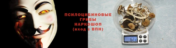 соль курить ск Бородино