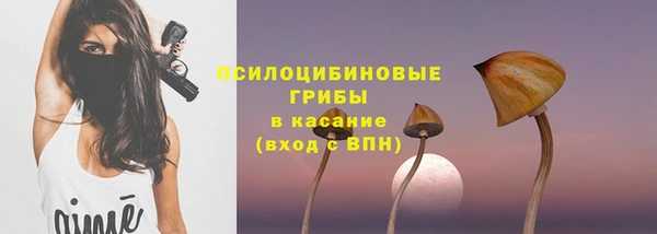 соль курить ск Бородино