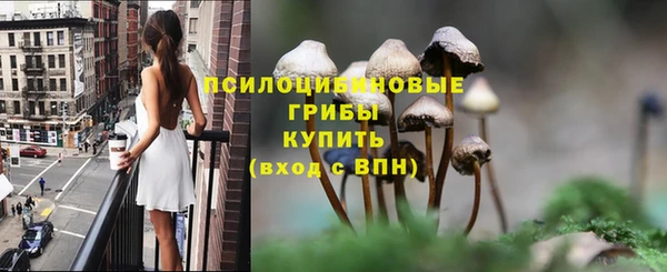 соль курить ск Бородино