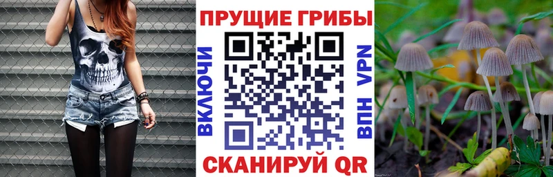Галлюциногенные грибы GOLDEN TEACHER  Купить где  Кузнецк 