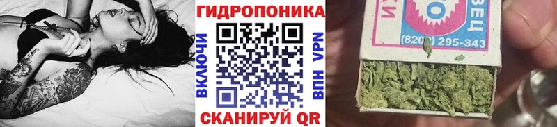 Марихуана семена  Купить закладки  Кузнецк 